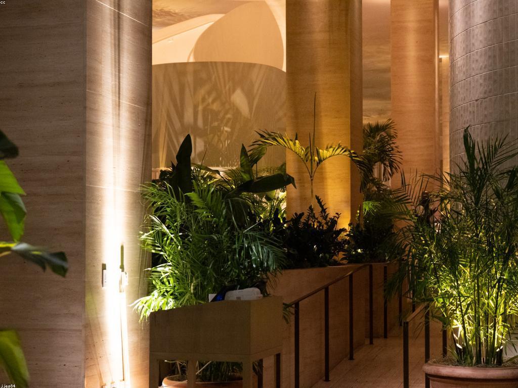 ααΆαααΆαααααααα·αααΆααααααΆαααααααΆααα’αΆααΈααααα